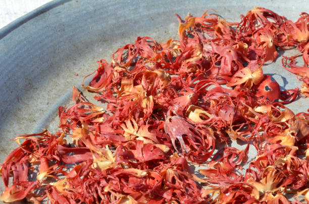  Fresh  Mace Spice